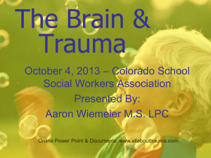 The Brain & Trauma - The Colorado School Social Work Association