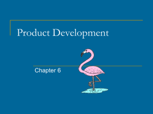 Chapter 6 Product Development