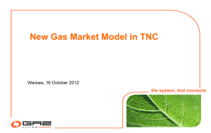 The New Market Model - GAZ