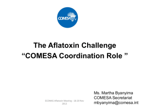 COMESA- Aflatoxin Meeting