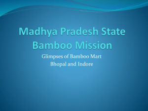 Participation Bamboo Fair, Bhopal Bamboo Mart, Indore