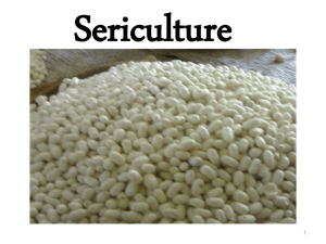 horticulture in jammu at a galance - Official Website of Sericulture