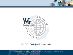 WGI Consultants and Personnel Services