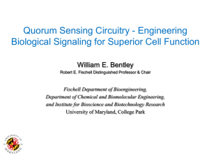 Quorum Sensing Circuitry - Engineering Biological Signaling for