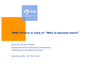 From Smart Metering to Smart Grids Enel Experience: Drivers and