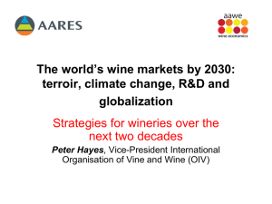 Strategies for wineries over the next two decades