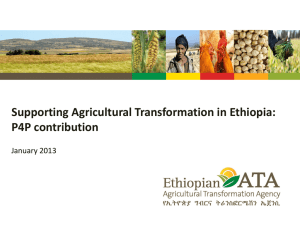 Supporting Agricultural Transformation in Ethiopia * P4P