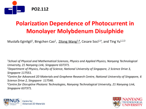 Photon Polarization Dependence of