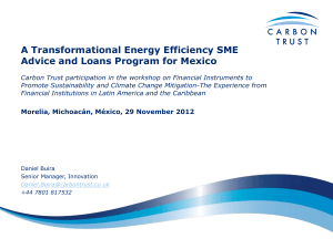 Mexican delivery landscape relevant to SME energy efficiency
