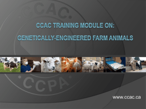 Training Module on Genetically-Engineered (GE) & Cloned