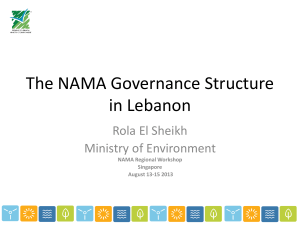 The NAMA governance structure in Lebanon