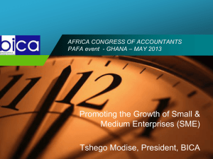 2013 BICA Promoting Growth of SME - Business Case