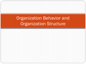 Perilaku Organisasi dan Struktur Organisasi