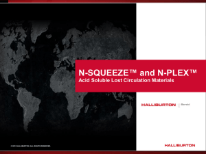 N-SQUEEZE™ and N-PLEX™ Lost Circulation