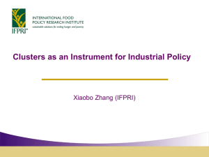 Clusters as an Instrument for Industrial Policy