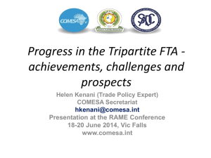 Status of implementation of the Tripartite FTA
