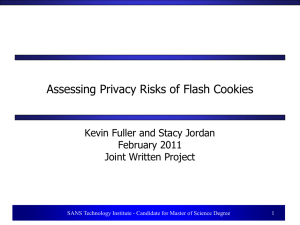 Assessing Privacy Risks of Flash Cookies