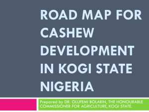 road map for cashew development in kogi state nigeria