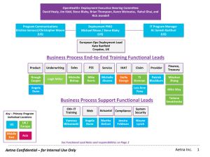 Business Process Support Functional Leads