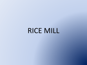 RICE MILL - new industry