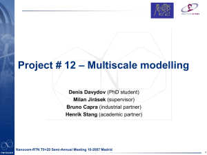 Multiscale modelling