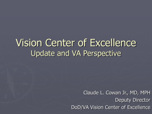 Vision Center of Excellence VA Perspective