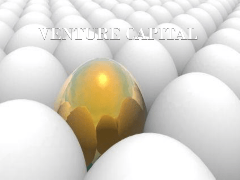 venture-capital-managementparadise