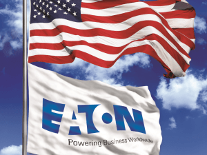 Eaton USA IT Channel Marketing 1H2009 In Review