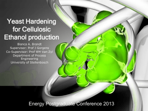 Brandt_B - Energy Postgraduate Conference