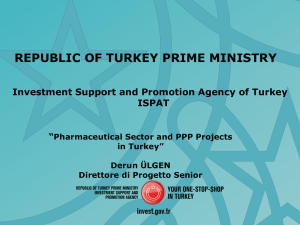 Turkish PPP Program