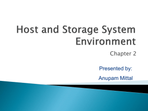 Storage System Environment