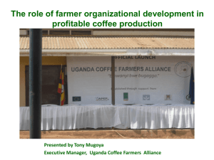 Executive Manager, Uganda Coffee Farmers Alliance