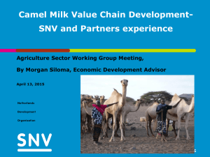 Camel Milk-presentation to ALWG 072012