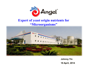 2. Angel Yeast Extracts