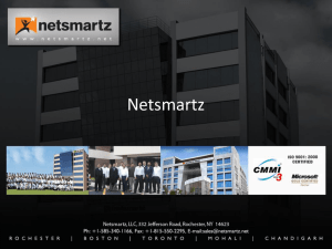 (Netsmartz LLC, Sebiz Infotech Limited, Software Depot Online