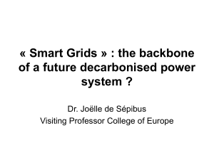Smart grids - World Trade Institute