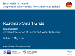 Roadmap for the Implementation of Smart Grids in Germany, Jan