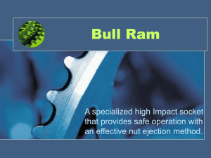 Bull Ram