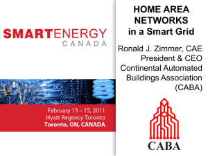 HOME AREA NETWORKS in a Smart Grid