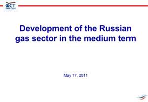 Denis Volkov, Director of the Department for gas and oil industries