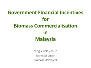 Government Financial Incentives for Biomass - Biomass-SP