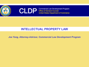 Intellectual Property Rights