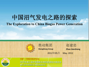 中国沼气发电之路探索