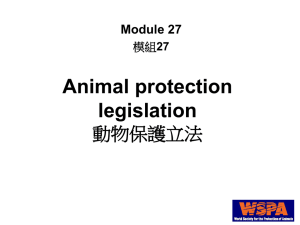 WSPA - 動物權台灣