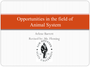 Opportunities in the field of Animal System