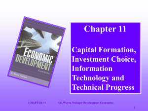 Capital Formation, Investment Choice, Information Technology