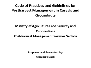 Postharvest Management of Cereal and Groundnuts