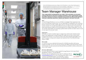 Team Manager Warehouse