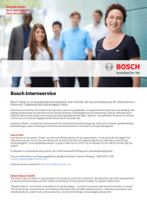 Bosch Internservice