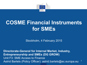 COSME Financial Instruments for SMEs